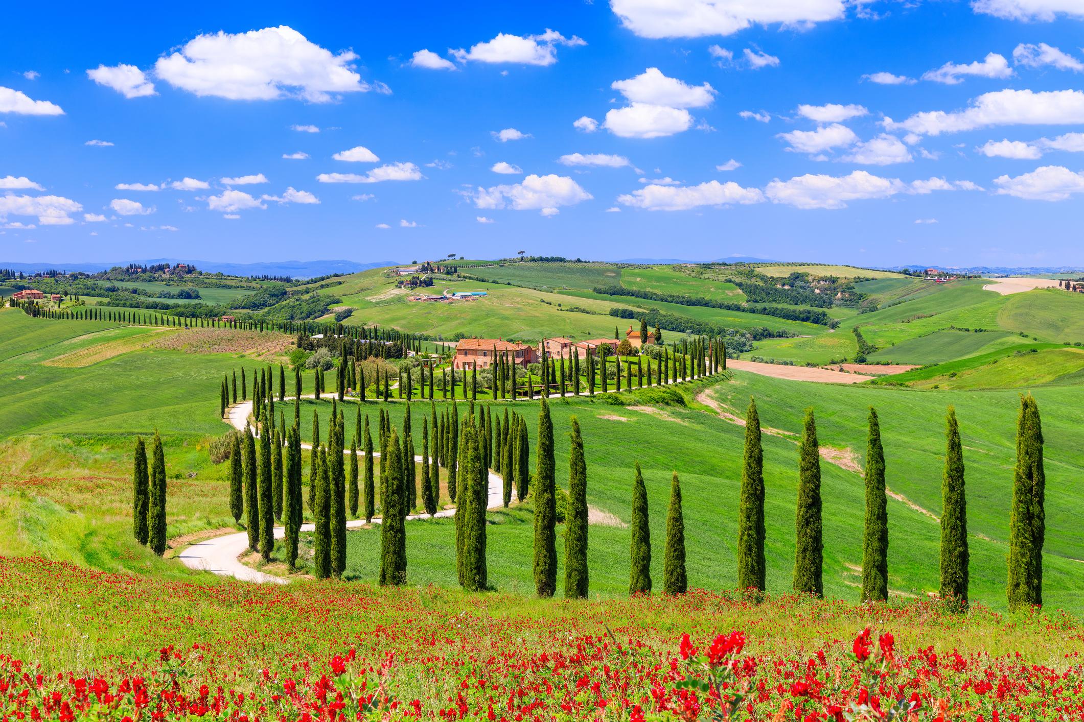 Strada di cipressi nella Val d'Orcia, Toscana